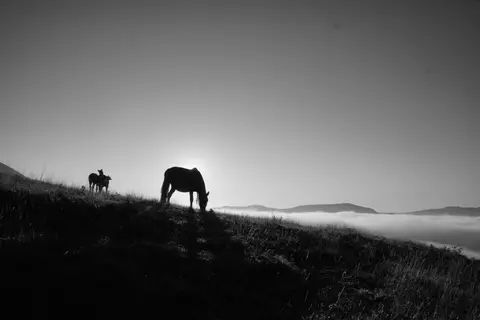 Malwin Haas - Castelluccio I