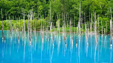 Malwin Haas - Shirogane Blue Pond (青い池)
