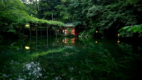 Malwin Haas - Fujinomiya 富士宮市  (2019)