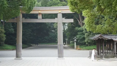 Malwin Haas - Meiji-Schrein – Torii
