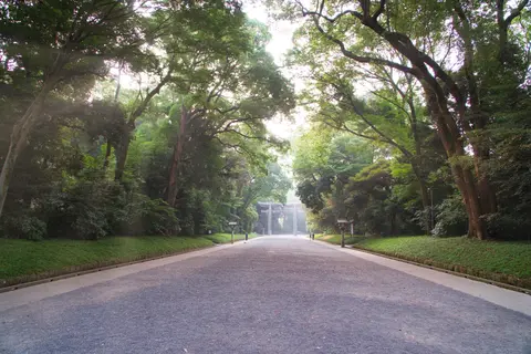 Malwin Haas - Meiji-Schrein – Allee