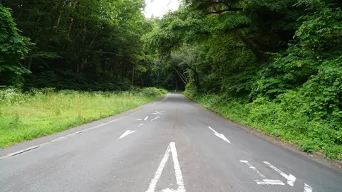 Malwin Haas - Japan – Waldstrasse